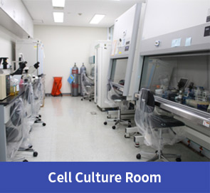 Cell Culture Room