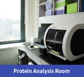 Protein Analysis Room